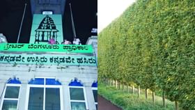 25000ಕ್ಕೂ ಹೆಚ್ಚು ಗಿಡ ಕಡಿಯಬೇಕಾಗುತ್ತೆ ಜಿಬಿಎ! ಶಾಕಿಂಗ್ ಕಾರಣ ಬಯಲು