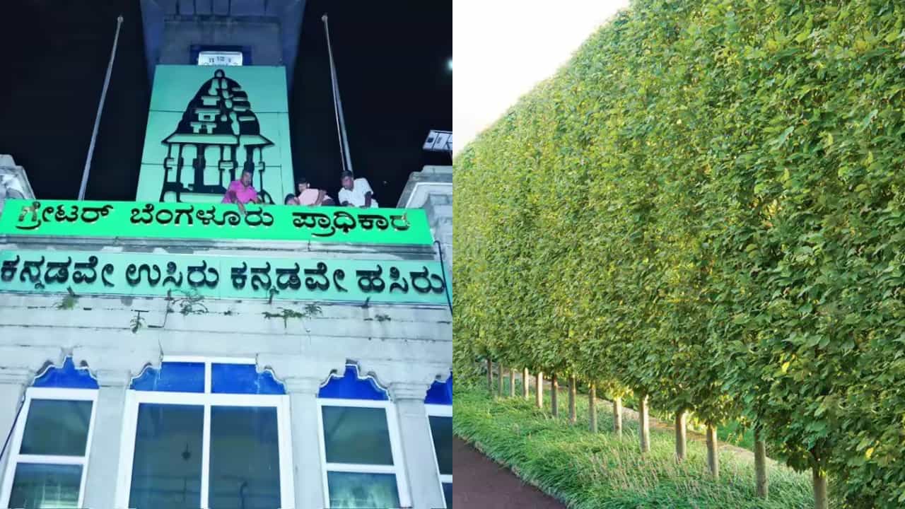ಬಿಬಿಎಂಪಿ ನೆಟ್ಟಿದ್ದ 25000ಕ್ಕೂ ಹೆಚ್ಚು ಗಿಡಗಳನ್ನು ಕಡಿಯಬೇಕಾಗುತ್ತೆ ಜಿಬಿಎ! ಕಾರಣ ಕೇಳಿದ್ರೆ ಶಾಕ್ ಆಗ್ತೀರಿ