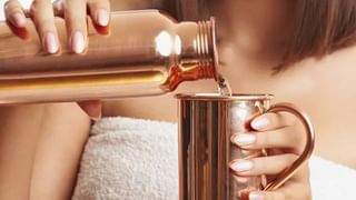 ಹಾವುಗಳು ಮನೆಯೊಳಗೆ ಬರಲು ಈ ವಸ್ತುಗಳೇ ಕಾರಣ, ಬರದಂತೆ ಏನು ಮಾಡಬೇಕು? ಇಲ್ಲಿದೆ ನೋಡಿ