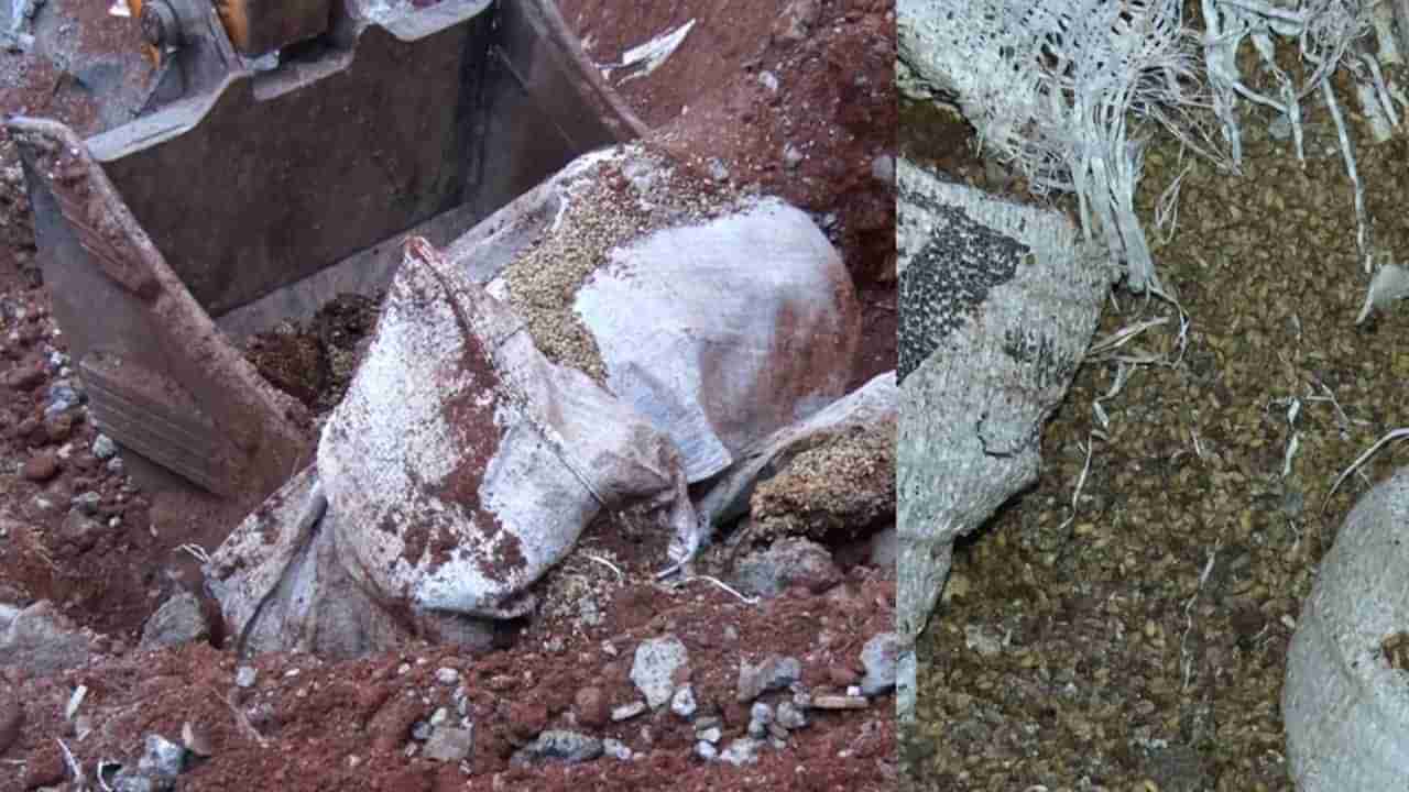 ಸರ್ಕಾರಿ ಹಾಸ್ಟೆಲ್ನಲ್ಲಿದ್ದ 15 ಕ್ವಿಂಟಲ್ ಗೋಧಿಯನ್ನು ಜೆಸಿಬಿಯಿಂದ ಗುಂಡಿ ತೋಡಿ ಮುಚ್ಚಿಸಿದ ವಾರ್ಡನ್!