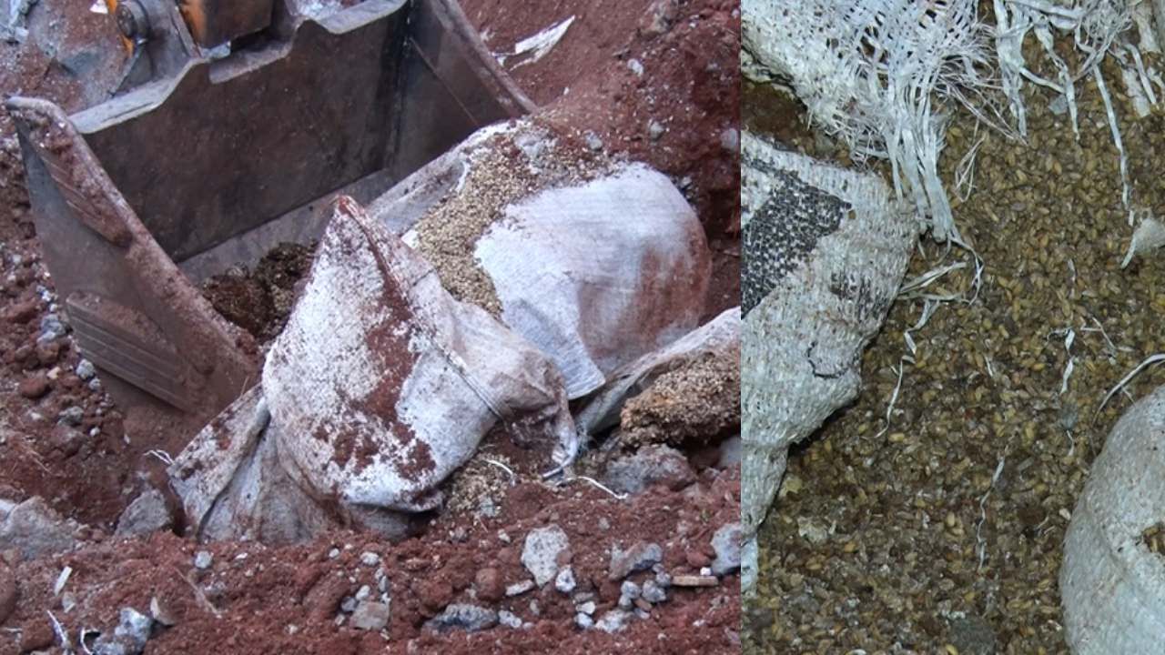 ಸರ್ಕಾರಿ ಹಾಸ್ಟೆಲ್ನಲ್ಲಿದ್ದ 15 ಕ್ವಿಂಟಲ್ ಗೋಧಿಯನ್ನು ಜೆಸಿಬಿಯಿಂದ ಗುಂಡಿ ತೋಡಿ ಮುಚ್ಚಿಸಿದ ವಾರ್ಡನ್! ಸರ್ಕಾರಿ ಹಾಸ್ಟೆಲ್ನಲ್ಲಿದ್ದ 15 ಕ್ವಿಂಟಲ್ ಗೋಧಿಯನ್ನು ಜೆಸಿಬಿಯಿಂದ ಗುಂಡಿ ತೋಡಿ ಮುಚ್ಚಿಸಿದ ವಾರ್ಡನ್!