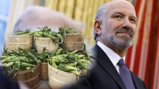 ITR Filing Last Date: ಐಟಿಆರ್ ಫೈಲಿಂಗ್, ಡೆಡ್​ಲೈನ್ ವಿಸ್ತರಿಸಲು ಎಲ್ಲೆಡೆ ಬೇಡಿಕೆ; ಸೆ. 30ರವರೆಗೂ ಕಾಲಾವಕಾಶ ಸಿಗುತ್ತಾ?