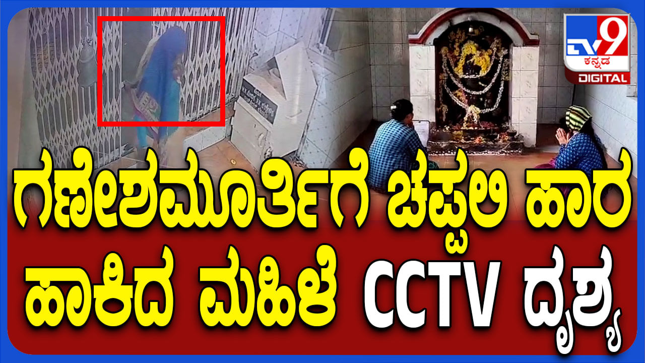 ಬೇಲೂರು ಗಣೇಶಮೂರ್ತಿಗೆ ಚಪ್ಪಲಿ ಹಾರ ಹಾಕಿದ್ಯಾರು? ಇಲ್ಲಿದೆ CCTV ದೃಶ್ಯ