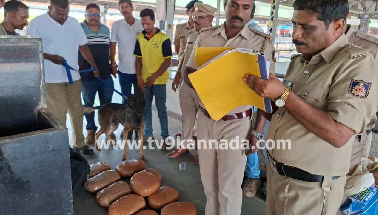 ಹುಬ್ಬಳ್ಳಿಗೆ ಅವ್ಯಾಹತವಾಗಿ ಬರುತ್ತಿದೆ ಗಾಂಜಾ: ಡ್ರಗ್ ಪೆಡ್ಲರ್​ಗಳಿಗೆ ವರವಾಗಿ ಪರಿಣಮಿಸಿದ ತಪಾಸಣೆರಹಿತ ರೈಲು ಪ್ರಯಾಣ!