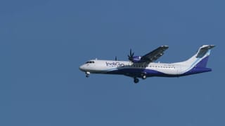 ಪಿಟ್​ಬುಲ್ ನಾಯಿಯ ಕಾಲು ಕತ್ತರಿಸಿದ ಕೇರಳದ ವ್ಯಕ್ತಿಯ ಬಂಧನ