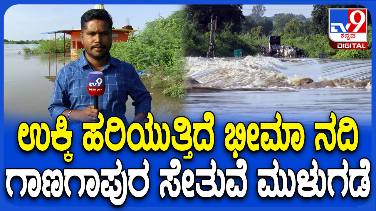 Bheema River Flood: ಉಕ್ಕಿ ಹರಿಯುತ್ತಿದೆ ಭೀಮಾ ನದಿ; ಗ್ರಾಮಗಳಿಗೆ ಪ್ರವಾಹದ ಆತಂಕ! Bheema River Flood: ಉಕ್ಕಿ ಹರಿಯುತ್ತಿದೆ ಭೀಮಾ ನದಿ; ಗ್ರಾಮಗಳಿಗೆ ಪ್ರವಾಹದ ಆತಂಕ!