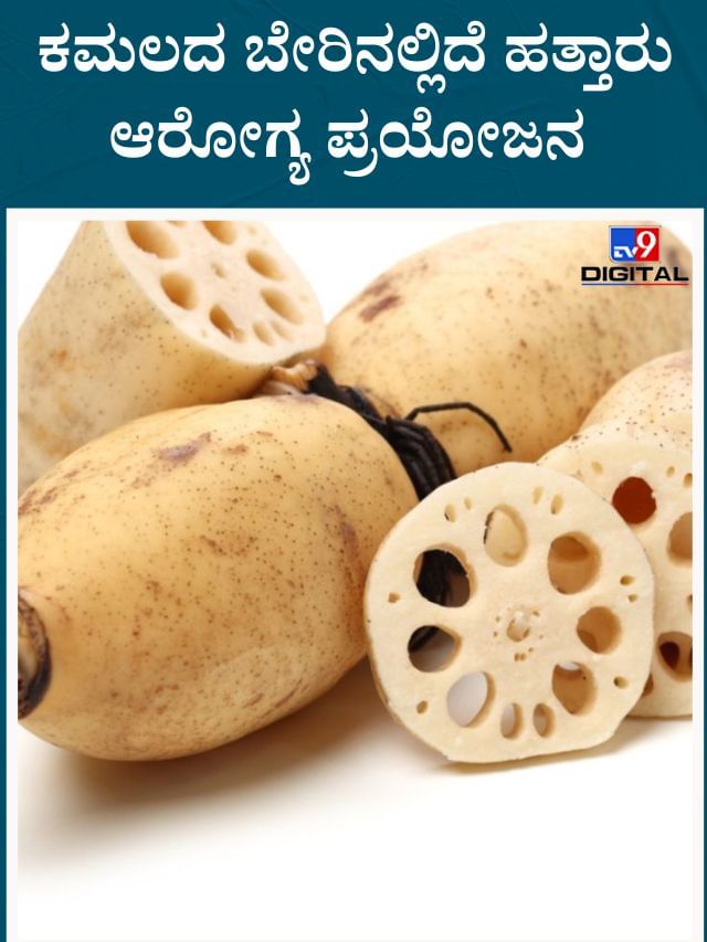 ಕಮಲದ ಬೇರನ್ನು ಹೀಗೆ ಬಳಸಿ ಆರೋಗ್ಯ ಲಾಭ ಪಡೆದುಕೊಳ್ಳಿ