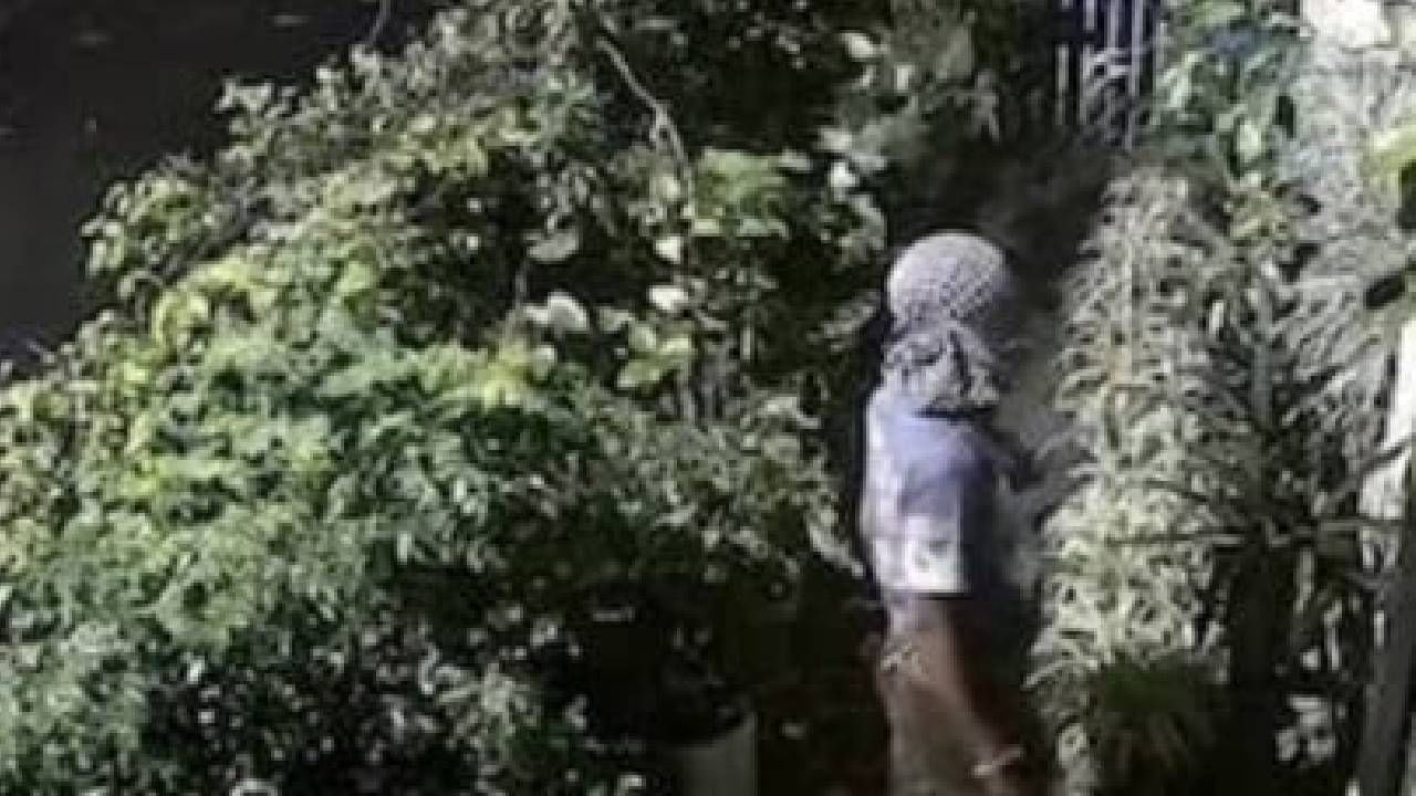 Video: ಮಧ್ಯಪ್ರದೇಶ ಕಾಂಗ್ರೆಸ್ ಅಧ್ಯಕ್ಷ ಜಿತು ಮನೆಗೆ ನುಗ್ಗಿದ ಮುಸುಕುಧಾರಿಗಳು