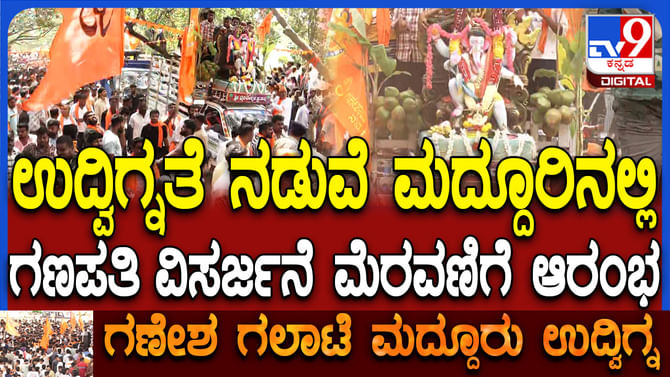 ಮದ್ದೂರಿನಲ್ಲಿ ಕೇಸರಿ ರಣಕಹಳೆ: 28 ಗಣೇಶ ವಿಸರ್ಜನಾ ಮೆರವಣಿಗೆಯಲ್ಲಿ ಜನವೋ ಜನ