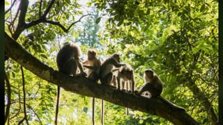 Video: ಆತ್ಮಹತ್ಯೆಗೆ ಯತ್ನಿಸುತ್ತಿದ್ದ ಮಹಿಳೆಯ ರಕ್ಷಣೆಗೆ ಧಾವಿಸಿದ ರಿಯಲ್‌ ಹೀರೋಸ್;‌ ವಿಡಿಯೋ ವೈರಲ್‌