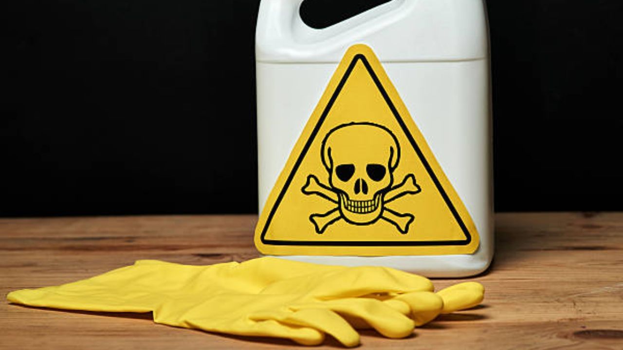 ಮನೆಯಲ್ಲಿರುವ ಈ 6 ವಸ್ತುಗಳನ್ನು ಈಗಲೇ ಹೊರಗೆ ಹಾಕಿ, ಇದು ಆರೋಗ್ಯಕ್ಕೆ ಒಳ್ಳೆಯದಲ್ಲ ಮನೆಯಲ್ಲಿರುವ ಈ 6 ವಸ್ತುಗಳನ್ನು ಈಗಲೇ ಹೊರಗೆ ಹಾಕಿ, ಇದು ಆರೋಗ್ಯಕ್ಕೆ ಒಳ್ಳೆಯದಲ್ಲ