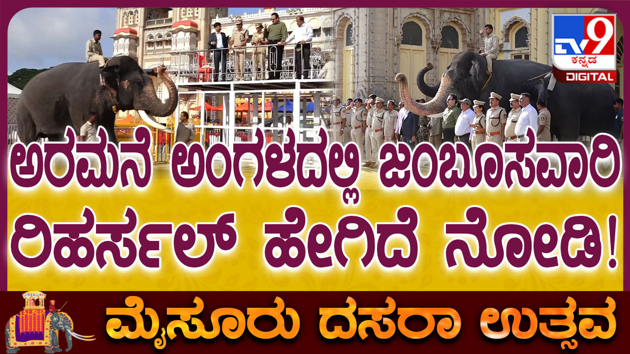 ಮೈಸೂರು ದಸರಾ 2025: ಜಂಬೂಸವಾರಿ ಮೆರವಣಿಗೆ ತಾಲೀಮು ಹೇಗಿದೆ ನೋಡಿ