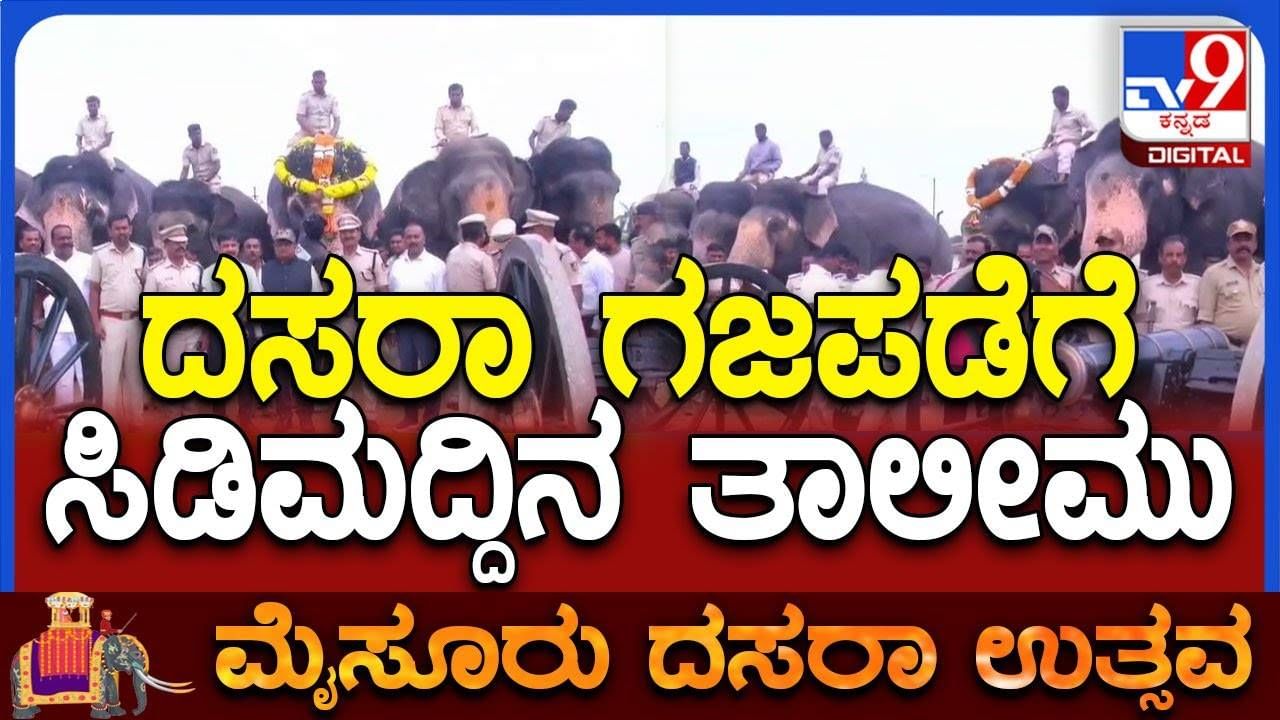 Mysuru Dasara 2025: ದಸರಾ ಗಜಪಡೆಗೆ ಭರ್ಜರಿ ತಾಲೀಮು, ಸಿಡಿಮದ್ದಿಗೆ ಅಂಜದ ಗಜ  ಸೈನ್ಯ