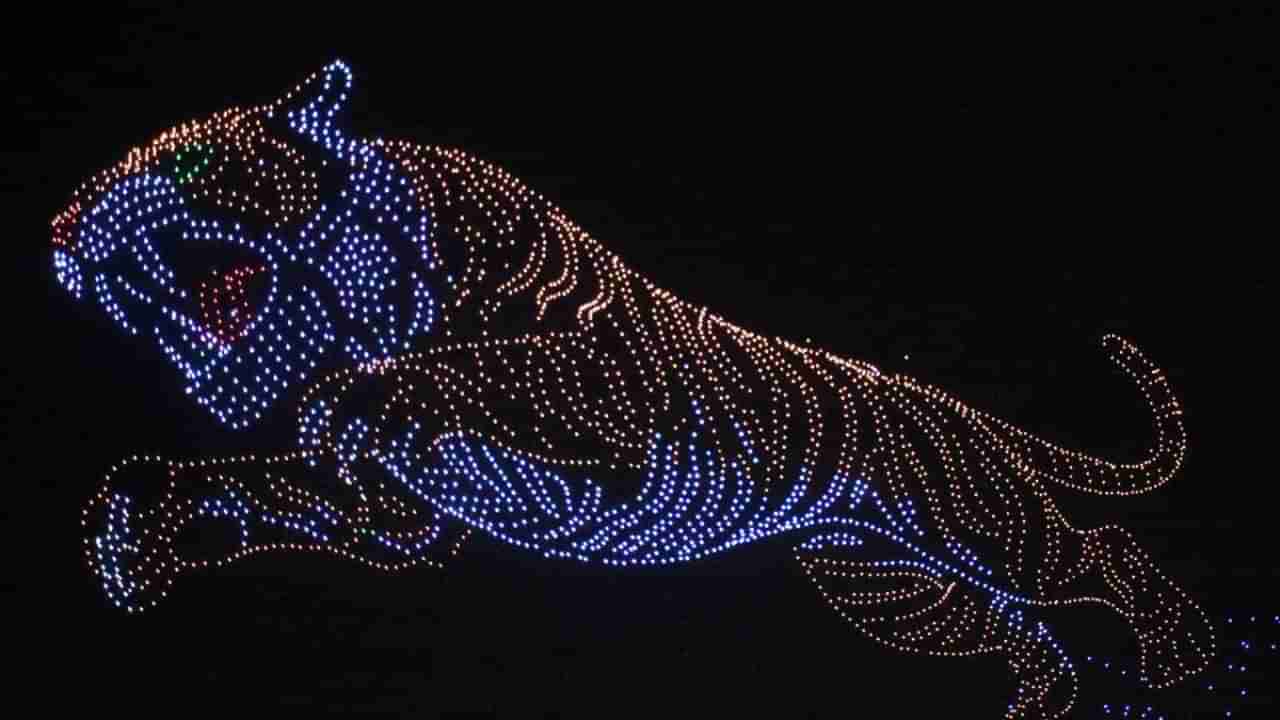 ಮೈಸೂರು ದಸರಾದಲ್ಲಿ ಗಿನ್ನೆಸ್ ದಾಖಲೆ ಬರೆದ ಹುಲಿ ಕಲಾಕೃತಿ ಡ್ರೋನ್‌ ಪ್ರದರ್ಶನ