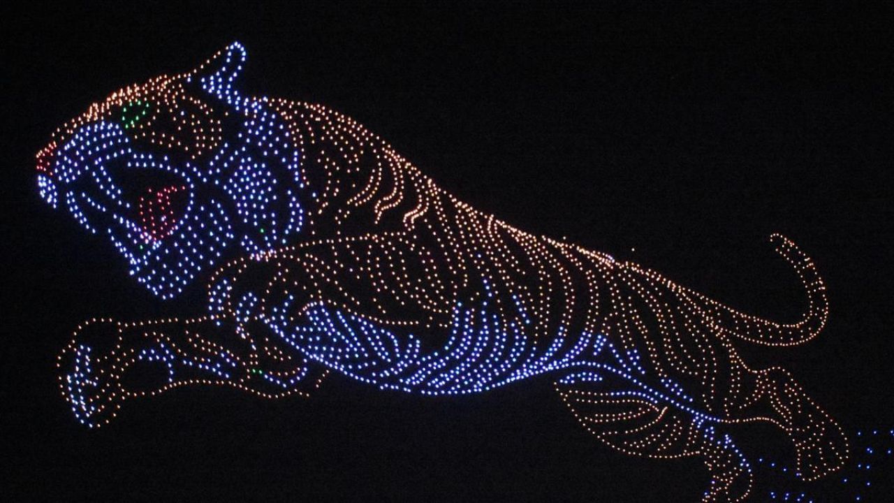 ಮೈಸೂರು ದಸರಾದಲ್ಲಿ ಗಿನ್ನೆಸ್ ದಾಖಲೆ ಬರೆದ ಹುಲಿ ಕಲಾಕೃತಿ ಡ್ರೋನ್‌ ಪ್ರದರ್ಶನ