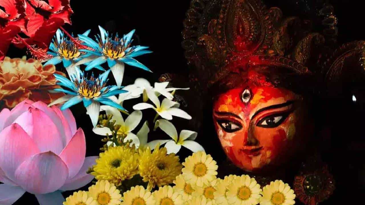 Navratri 2025: ನಿಮ್ಮ ಜನ್ಮ ಸಂಖ್ಯೆಯ ಆಧಾರದ ಮೇಲೆ ದುರ್ಗಾ ದೇವಿಗೆ ಈ ಹೂವು ಅರ್ಪಿಸಿ