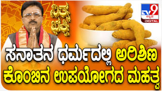 ನನ್ನನ್ನೇ ಕಚ್ಚುತ್ತೀಯ?; ಆಂಧ್ರದಲ್ಲಿ ಕುತ್ತಿಗೆಗೆ ಹಾವು ಸುತ್ತಿಕೊಂಡು ಕುಡುಕನ ಹೈಡ್ರಾಮಾ