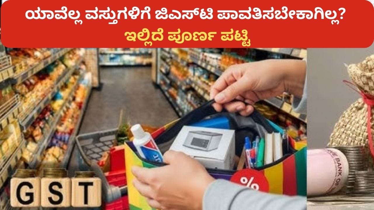 New GST Rates: ಜಿಎಸ್​ಟಿ ಪರಿಷ್ಕರಣೆ; ಈ ವಸ್ತುಗಳಿಗೆ ನೀವಿನ್ನು ತೆರಿಗೆಯೇ ಪಾವತಿಸಬೇಕಿಲ್ಲ!