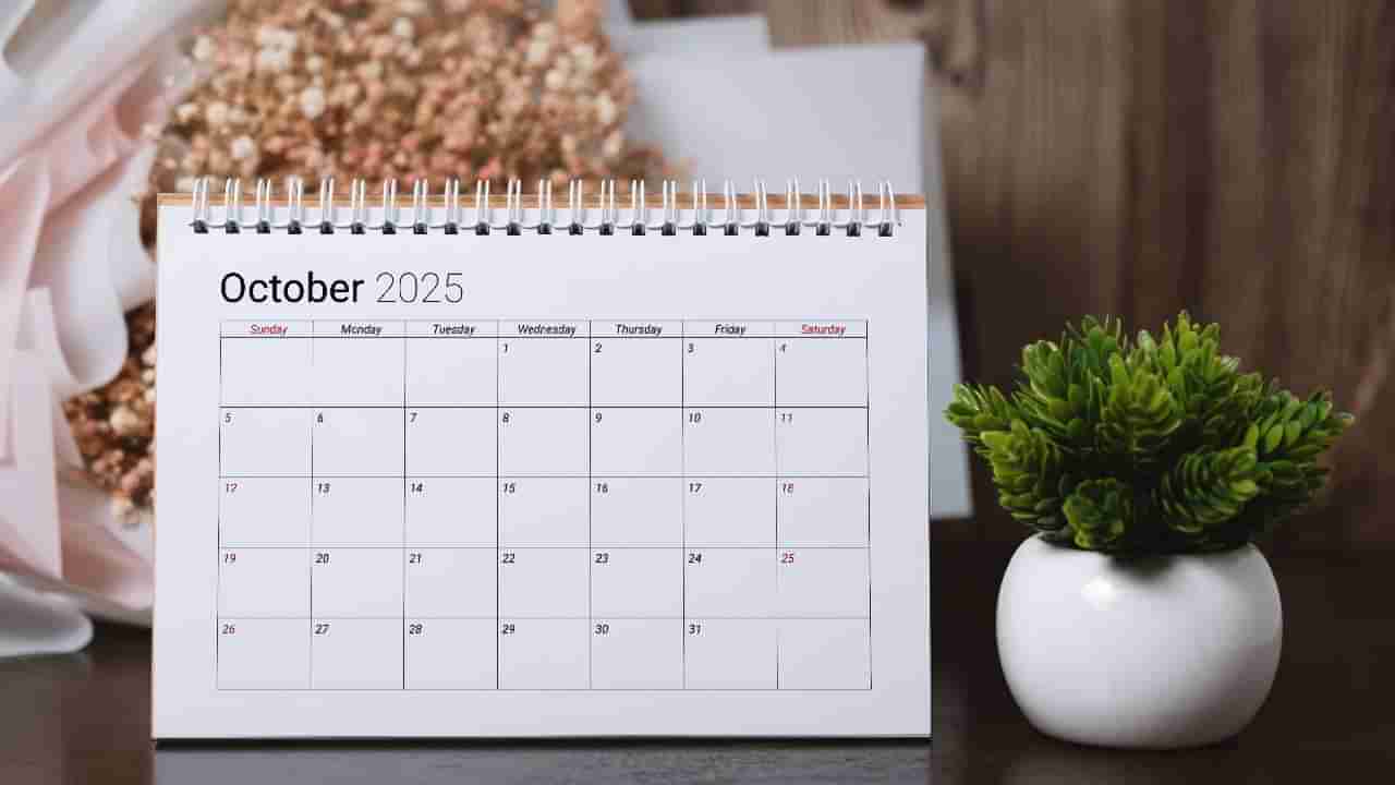Important Days In October 2025: ಅಕ್ಟೋಬರ್‌ ತಿಂಗಳಲ್ಲಿ ಆಚರಿಸಲಾಗುವ ರಾಷ್ಟ್ರೀಯ-ಅಂತಾರಾಷ್ಟ್ರೀಯ ದಿನಾಚರಣೆಗಳ ಪಟ್ಟಿ ಇಲ್ಲಿದೆ