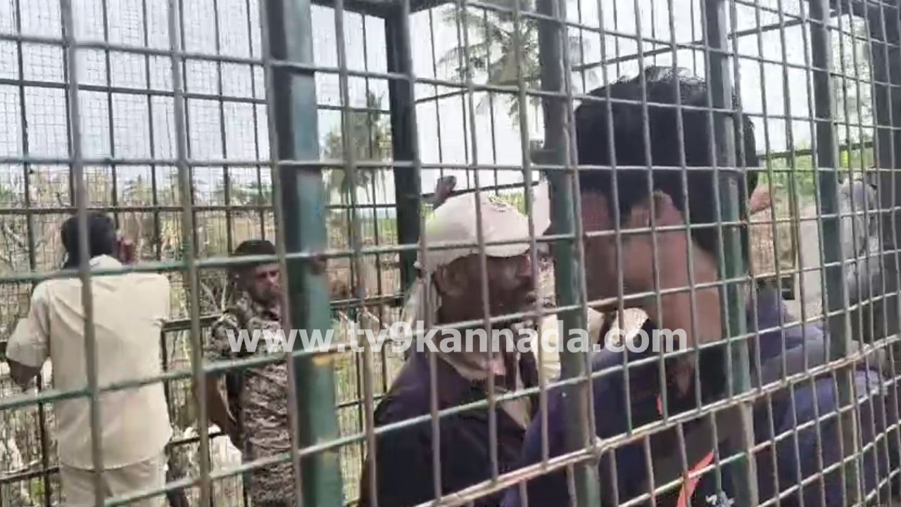 ಹುಲಿ ಹಿಡಿಯಲು ವಿಫಲರಾದ ಅರಣ್ಯ ಇಲಾಖೆ ಅಧಿಕಾರಿಗಳು, ಸಿಬ್ಬಂದಿಯನ್ನೇ ಬೋನಿನಲ್ಲಿ ಕೂಡಿಹಾಕಿದ ಜನ!