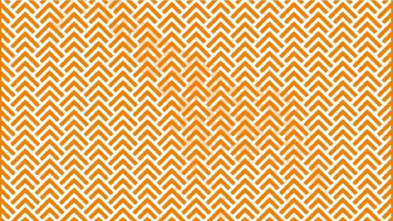 Optical Illusion: ಈ ಚಿತ್ರದಲ್ಲಿ ಮರೆಯಾಗಿರುವ ಪ್ರಾಣಿ ಯಾವುದೆಂದು ಕಂಡು ಹಿಡಿಯಲು ನಿಮ್ಮಿಂದ ಸಾಧ್ಯವೇ? Optical Illusion: ಈ ಚಿತ್ರದಲ್ಲಿ ಮರೆಯಾಗಿರುವ ಪ್ರಾಣಿ ಯಾವುದೆಂದು ಕಂಡು ಹಿಡಿಯಲು ನಿಮ್ಮಿಂದ ಸಾಧ್ಯವೇ?