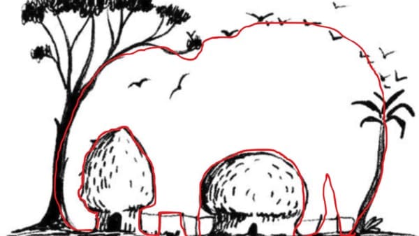 Optical Illusion Answer