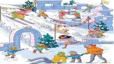 Optical Illusion Answer