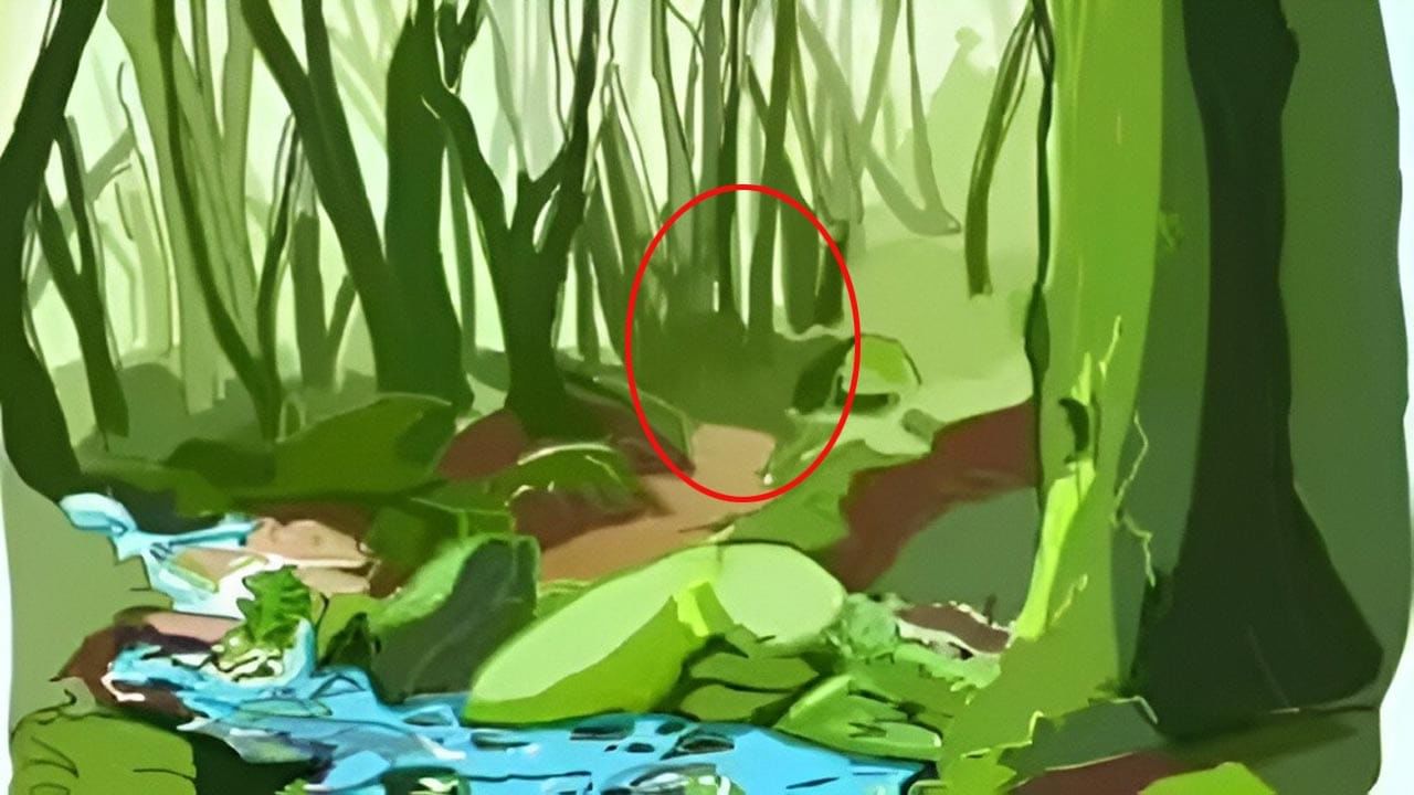 Optical Illusion Answer