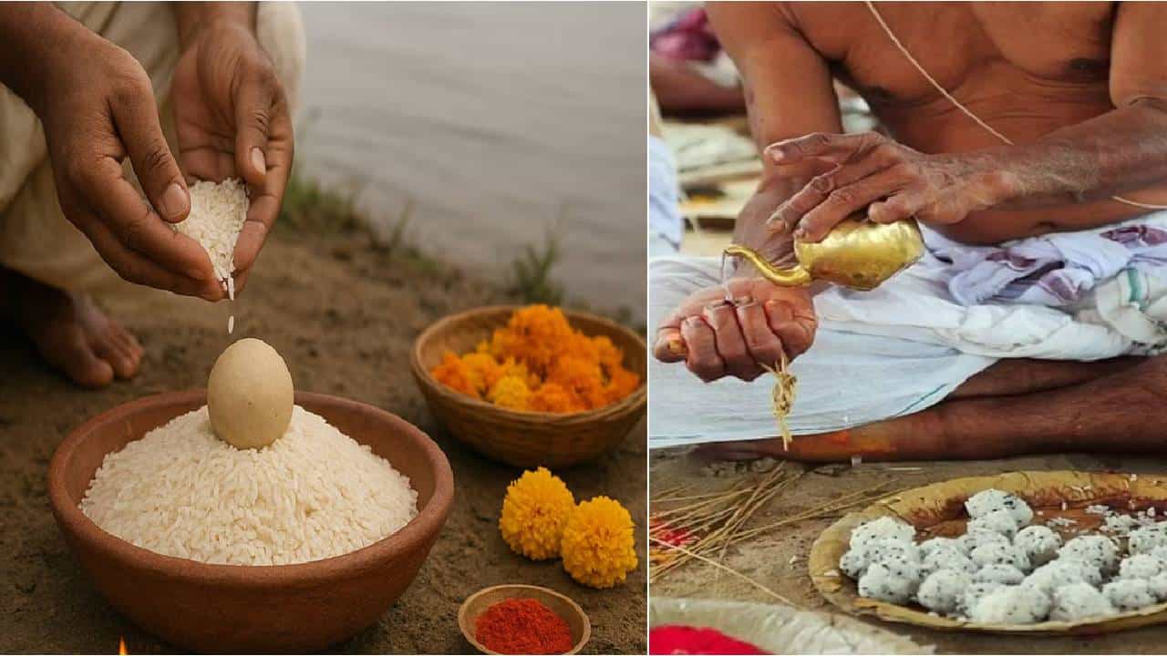 Daily Devotional: ಪಿತೃಪಕ್ಷದ ಸಮಯದಲ್ಲಿ ಏನು ಮಾಡಬೇಕು ಮತ್ತು ಏನು ಮಾಡಬಾರದು? Daily Devotional: ಪಿತೃಪಕ್ಷದ ಸಮಯದಲ್ಲಿ ಏನು ಮಾಡಬೇಕು ಮತ್ತು ಏನು ಮಾಡಬಾರದು?