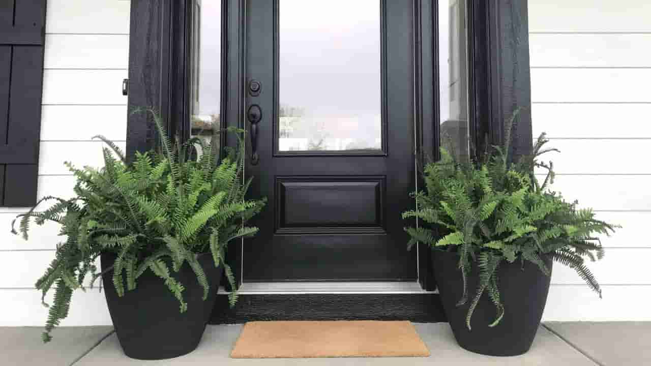 Vasthu Tips: ಮನೆಯ ಮುಖ್ಯ ದ್ವಾರದ ಸಮೀಪ ಈ ಗಿಡಗಳನ್ನು ನೆಡಲೇಬೇಡಿ, ಸಮಸ್ಯೆ ತಪ್ಪಿದ್ದಲ್ಲ!