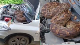 ಟ್ರಂಪ್​ಗಾಗಿ ಫ್ರೆಂಚ್ ಅಧ್ಯಕ್ಷರನ್ನೇ ನಡುರಸ್ತೆಯಲ್ಲಿ ನಿಲ್ಲಿಸಿದ ನ್ಯೂಯಾರ್ಕ್​ ಪೊಲೀಸರು