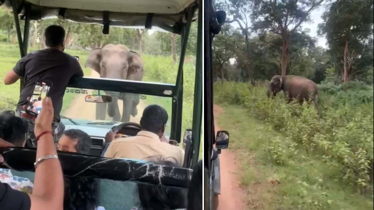 ನೋಡ ನೋಡುತ್ತಿದ್ದಂತೆ ಸಫಾರಿ ವಾಹನದ ಮೇಲೆರಗಿದ ಮಕ್ನಾ ಆನೆ: ಪ್ರವಾಸಿಗರು ಶಾಕ್!