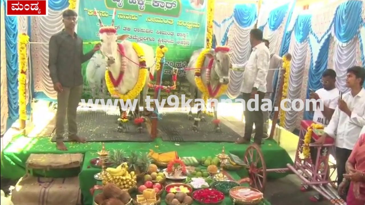 ಮಂಡ್ಯ: ಹಳ್ಳಿಕಾರ್ ತಳಿಯ ಹಸುಗಳಿಗೂ ನಡೀತು ಭರ್ಜರಿ ಸೀಮಂತ ಶಾಸ್ತ್ರ! ಮಂಡ್ಯ: ಹಳ್ಳಿಕಾರ್ ತಳಿಯ ಹಸುಗಳಿಗೂ ನಡೀತು ಭರ್ಜರಿ ಸೀಮಂತ ಶಾಸ್ತ್ರ!