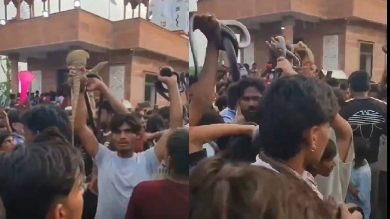 Video: ಜೀವಂತ ಹಾವುಗಳನ್ನು ಕೈಯಲ್ಲಿ ಹಿಡಿದು ಕುಣಿಯುವ ಇದೆಂಥಾ ಆಚರಣೆ!