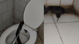 ಪ್ರಯಾಣ ಕಾಲದಲ್ಲಿ ವಾಹನಗಳ ಚಕ್ರಗಳಿಗೆ ನಿಂಬೆಹಣ್ಣು ಇಡುವುದೇಕೆ? ಆಧ್ಯಾತ್ಮಿಕ ಕಾರಣ ಇಲ್ಲಿದೆ