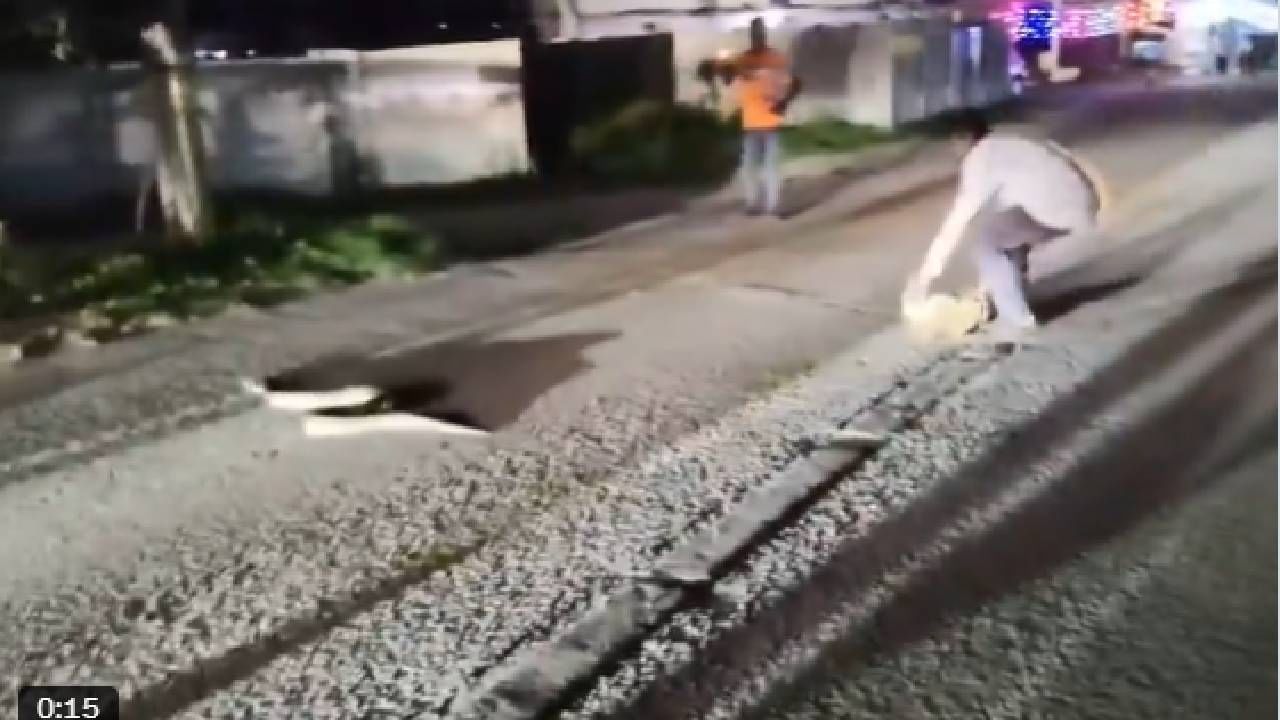 Video: ಪೊದೆಯೊಳಗೆ ಹೋಗಲು ಯತ್ನಿಸುತ್ತಿದ್ದ ಹೆಬ್ಬಾವಿನ ಮೇಲೆ ಮಾರಣಾಂತಿಕ ಹಲ್ಲೆ ನಡೆಸಿದ ವ್ಯಕ್ತಿ