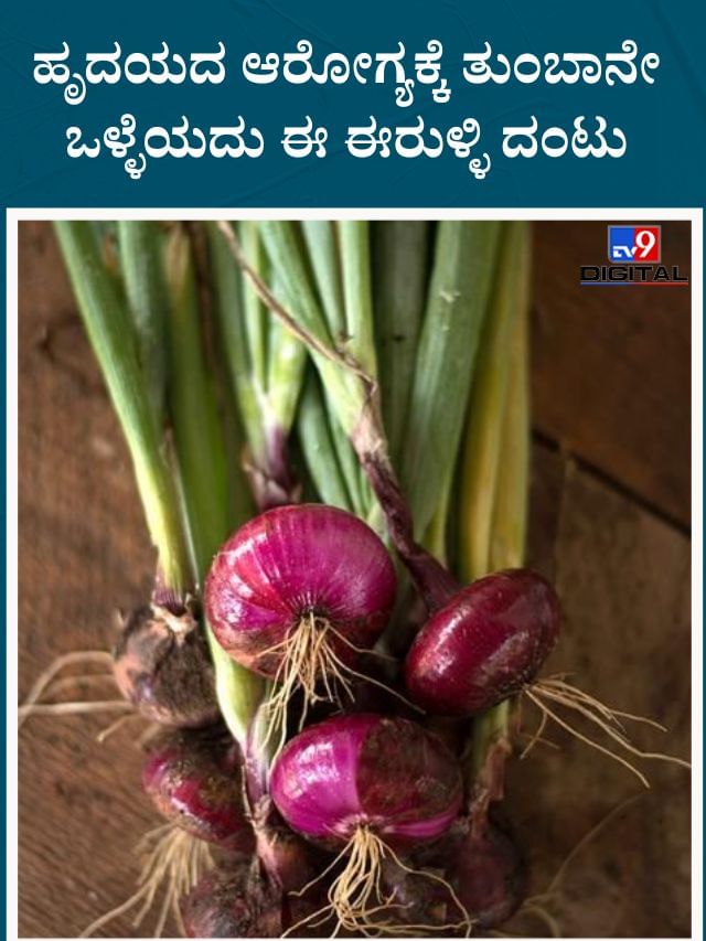 ಹೃದಯದ ಆರೋಗ್ಯಕ್ಕೆ ತುಂಬಾನೇ ಒಳ್ಳೆಯದು ಈ ಈರುಳ್ಳಿ ದಂಟು