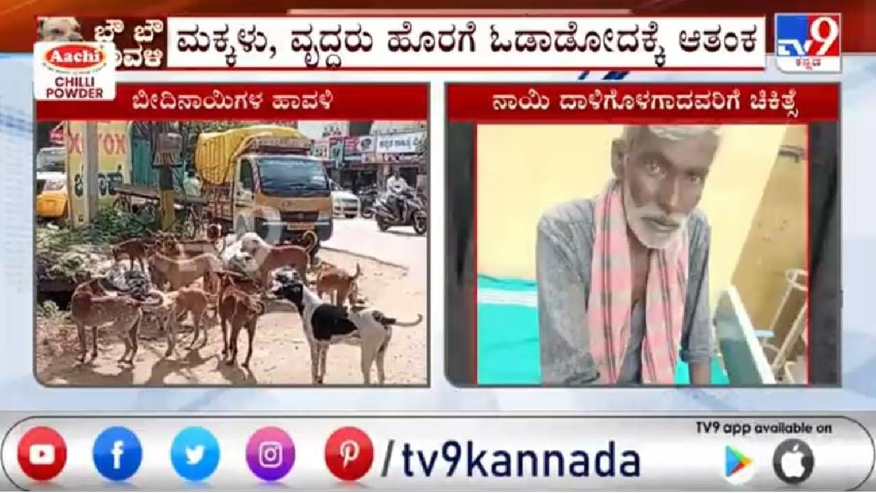 18 ಜನರ ಮೇಲೆ ಬೀದಿ ನಾಯಿಗಳ ದಾಳಿ; ಬೆಚ್ಚಿಬಿದ್ದ ಮಂಡ್ಯ ಜನ 18 ಜನರ ಮೇಲೆ ಬೀದಿ ನಾಯಿಗಳ ದಾಳಿ; ಬೆಚ್ಚಿಬಿದ್ದ ಮಂಡ್ಯ ಜನ