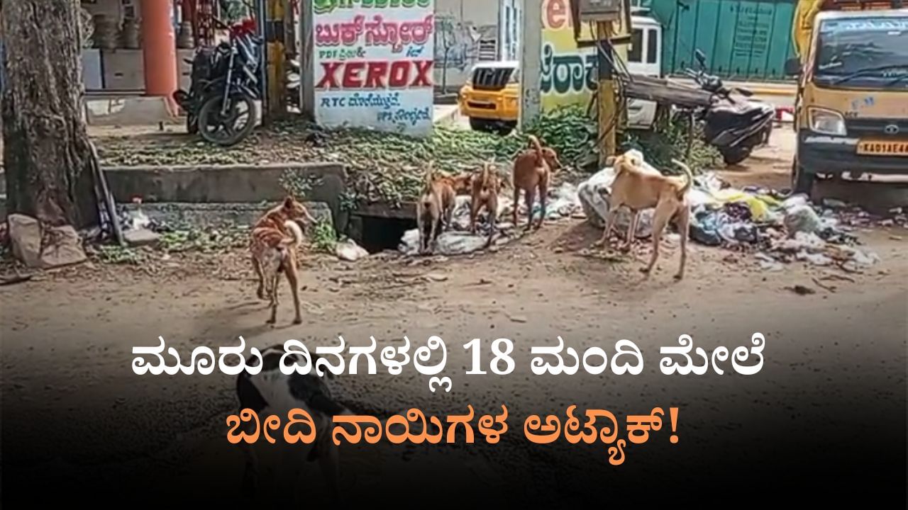 ಹಲಗೂರಲ್ಲಿ ಬೀದಿ ನಾಯಿ ಕಾಟ: ಮೂರೇ ದಿನಗಳಲ್ಲಿ 18 ಮಂದಿ ಮೇಲೆ ಅಟ್ಯಾಕ್​!