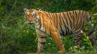 ಸಚಿವ ಜಮೀರ್ ಅಹ್ಮದ್​ಗೆ 2 ಕೋಟಿ ರೂ. ಕೊಟ್ಟಿದ್ದೆಲ್ಲಿಂದ ರಾಧಿಕಾ ಕುಮಾರಸ್ವಾಮಿ? ಲೋಕಾಯುಕ್ತ ವಿಚಾರಣೆಲಿ ಮಾಹಿತಿ ಬಿಚ್ಚಿಟ್ಟ ನಟಿ