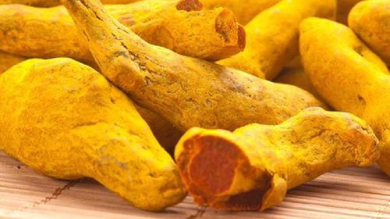 Daily Devotional: ಸನಾತನ ಧರ್ಮದಲ್ಲಿ ಅರಿಶಿನ ಕೊಂಬಿನ ಮಹತ್ವ, ಜ್ಯೋತಿಷ್ಯ ಸಲಹೆ ಇಲ್ಲಿದೆ