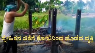 Video: ಬಾಯಲ್ಲಿ ಮೀನು ಕಚ್ಚಿಕೊಂಡು ಪ್ರವಾಹದ ನೀರಲ್ಲಿ ಹಾವಿನ ಈಜಾಟ
