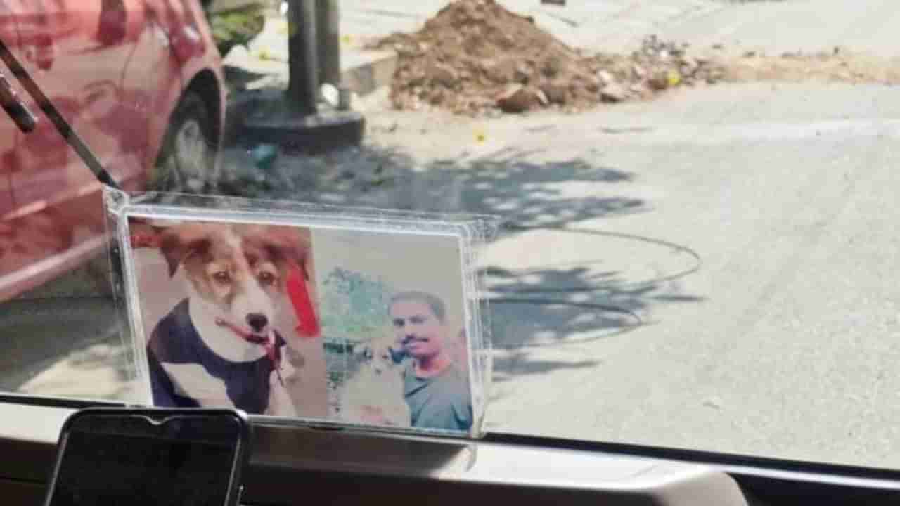 Video: ಅಗಲಿದ ಶ್ವಾನದ ಫೋಟೋವನ್ನು ಆಟೋದಲ್ಲಿ ಇರಿಸಿದ ಬೆಂಗಳೂರಿನ ಆಟೋ ಚಾಲಕ