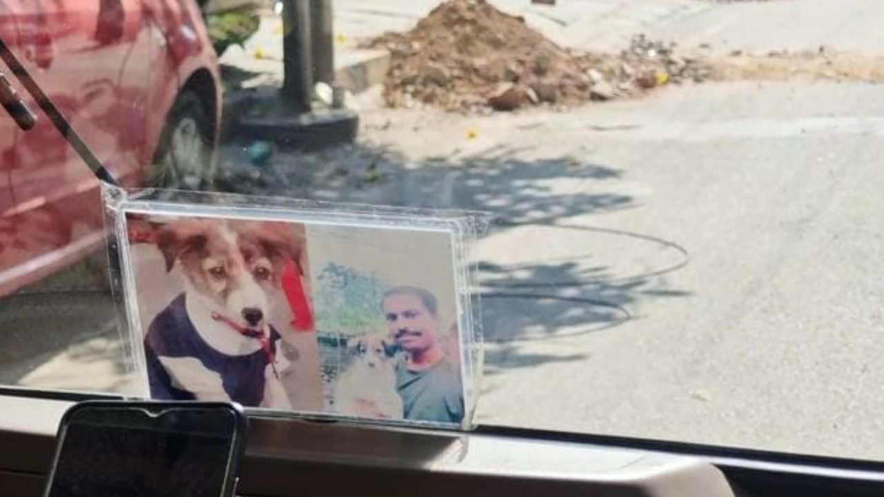 Video: ಅಗಲಿದ ಶ್ವಾನದ ಫೋಟೋವನ್ನು ಆಟೋದಲ್ಲಿ ಇರಿಸಿದ ಬೆಂಗಳೂರಿನ ಆಟೋ ಚಾಲಕ