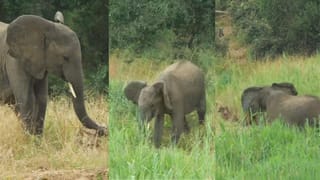 Video: ಹೆರಿಗೆ ನೋವಿನಲ್ಲೂ ಹೆಂಡ್ತಿ ಮೊಗದಲ್ಲಿ ನಗು ಮೂಡಿಸಲು ವಿಚಿತ್ರ ಡ್ಯಾನ್ಸ್ ಮಾಡಿದ ಪತಿ