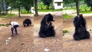 Viral: ಅಹಮದಾಬಾದ್ ನಗರ ಮಹಿಳೆಯರಿಗೆ ತುಂಬಾನೇ ಸುರಕ್ಷಿತ, ತನ್ನ ಅನುಭವ ಬಿಚ್ಚಿಟ್ಟ ವಿದೇಶಿ ಮಹಿಳೆ