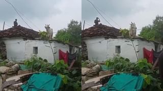 Viral: ವಾಸಯೋಗ್ಯಕ್ಕೆ ಗುರುಗಾಂವ್‌ಗಿಂತ ಬೆಂಗಳೂರು ಬೆಸ್ಟ್; ಕಾರಣ ವಿವರಿಸಿದ ವ್ಯಕ್ತಿ