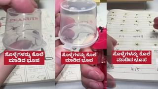 Optical Illusion: ಈ ಚಿತ್ರದಲ್ಲಿ ಅಡಗಿರುವ ಕುದುರೆಯನ್ನು 7 ಸೆಕೆಂಡುಗಳಲ್ಲಿ ಕಂಡು ಹಿಡಿಯಿರಿ