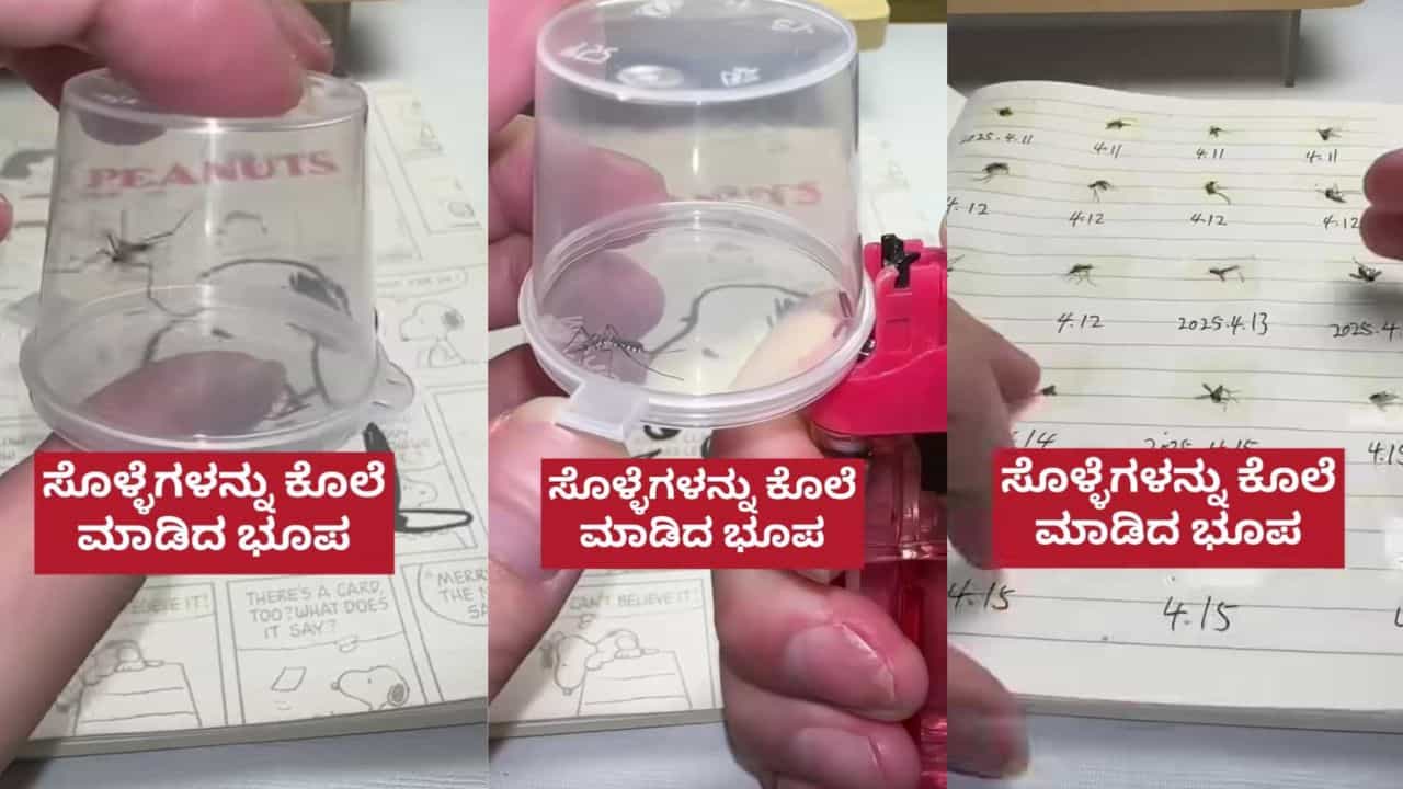 Video: ಯಾರಿಂದಲೂ ಹೀಗೆ ಕೊಲೆ ಮಾಡಲು ಸಾಧ್ಯವಿಲ್ಲ