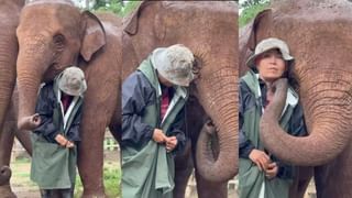 Video: ಇದು ವನಗಿರಿಯ ರಂಗು; ಪ್ರಕೃತಿಯ ನಡುವೆ ಹುಲಿದನ ಆಟವಾಡಿ ಸಂಭ್ರಮಿಸಿದ ಪುಟಾಣಿಗಳು